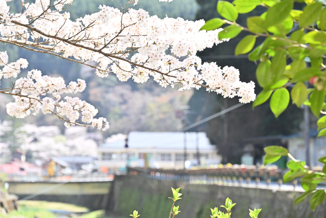 かわかみ源流学園